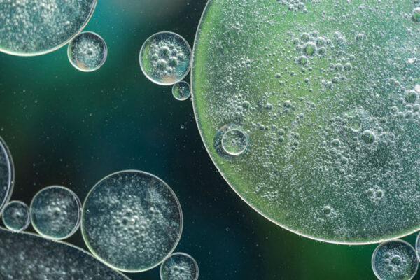 ¿Qué hacen los microorganismos en la depuración biológica de aguas?