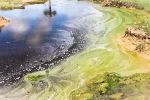 Impacto ambiental de las aguas residuales y cómo minimizarlo